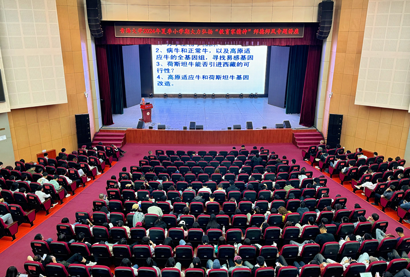 02deaa279ac94bb4acc97170fccc2cbe.png 图片6_副本.png