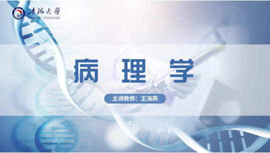 图片16.png